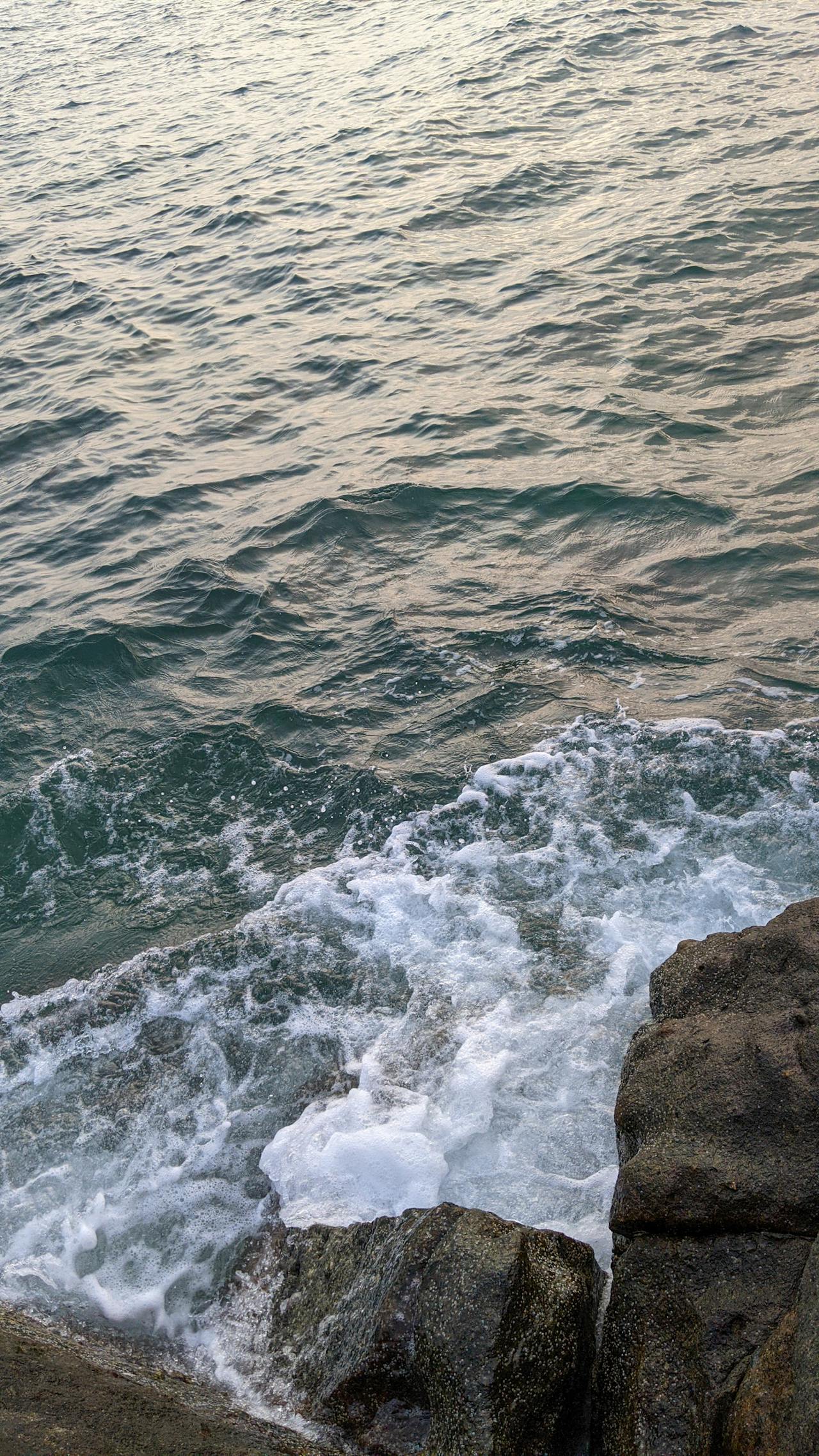 Sự sống ngoài hành tinh sẽ trông như thế nào