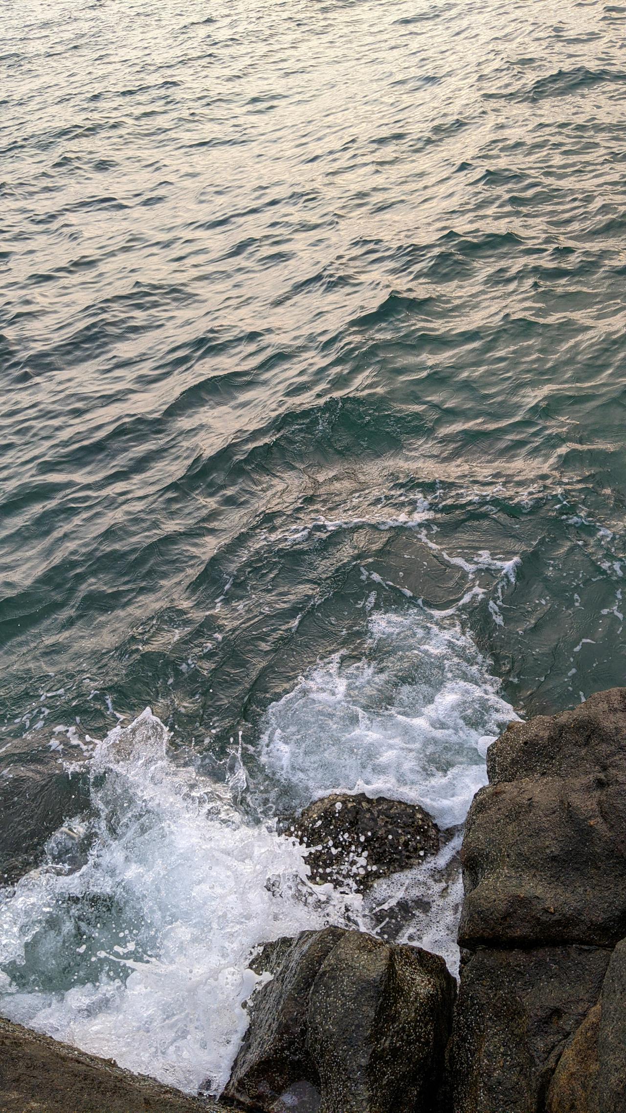 Giận | Lời nói đầu