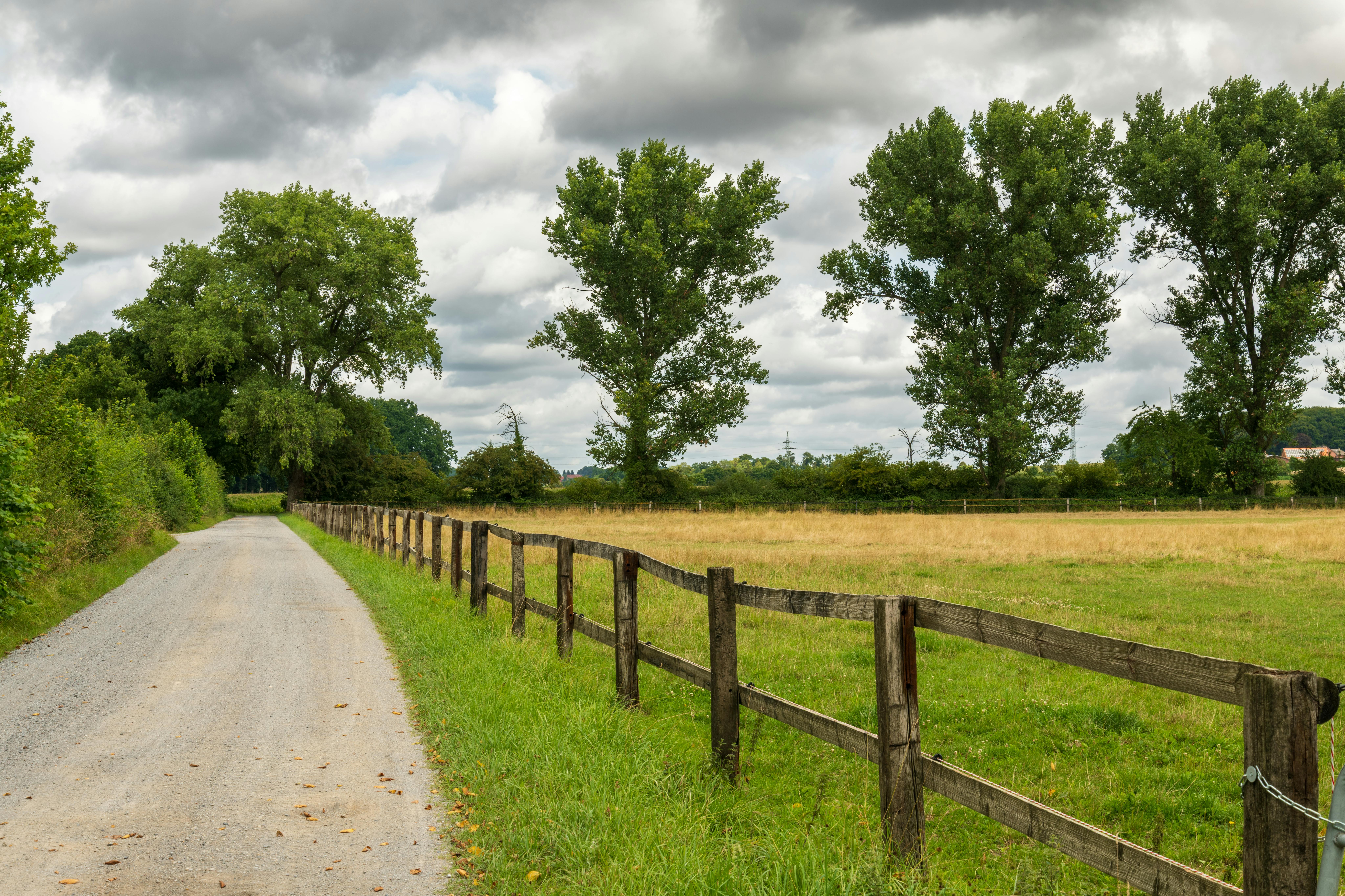 Une route rurale pittoresque bordée d'arbres luxuriants et d'une clôture en bois sous un ciel nuageux.