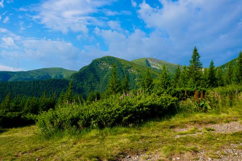 Free Beautiful mountain landscape with green forest and blue sky. Perfect for nature and travel themes. Stock Photo