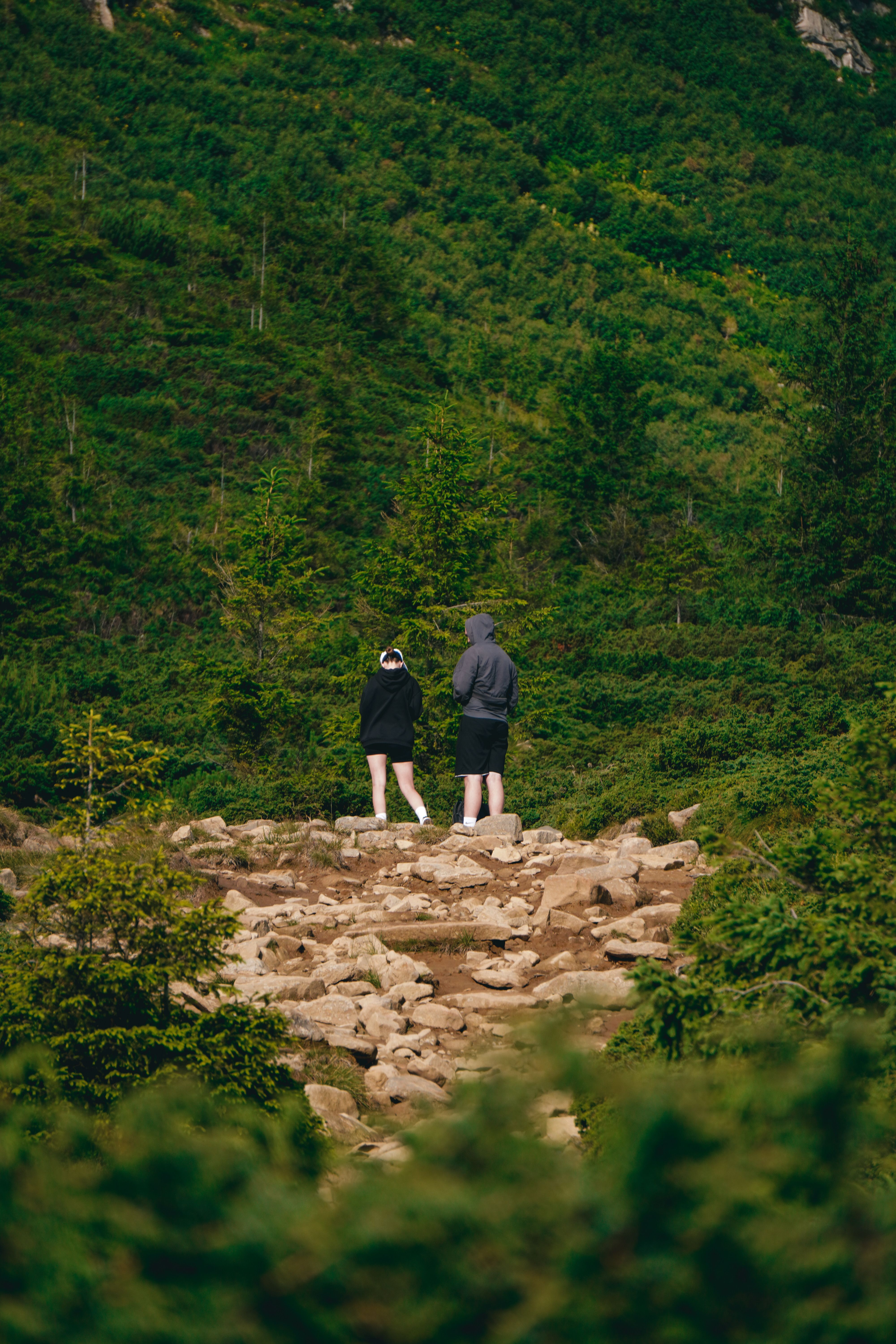 Hikers Exploring a Lush Green Mountain Trail · Free Stock Photo
