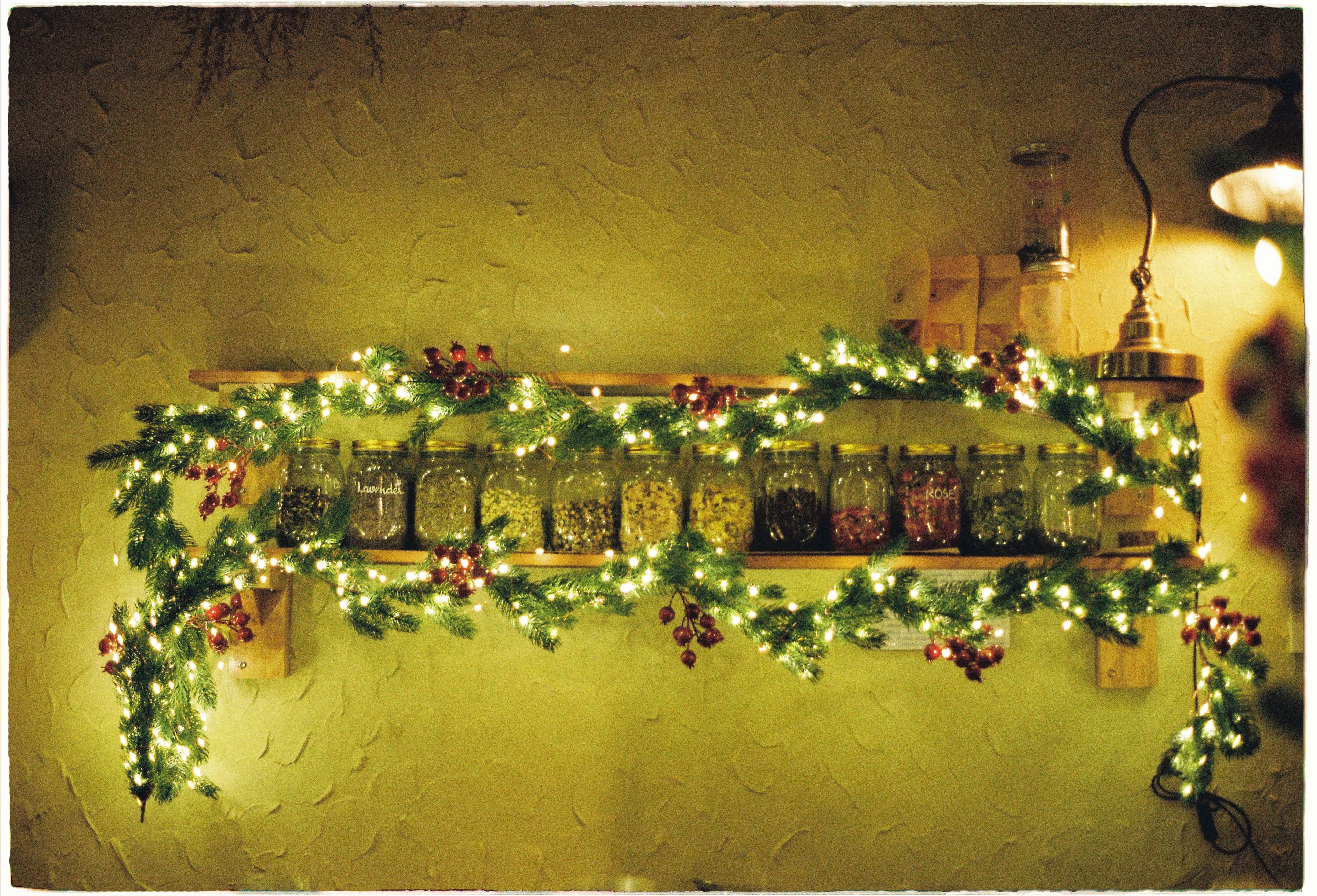 Bootles With Herbs Photos, Download The BEST Free Bootles With Herbs ...