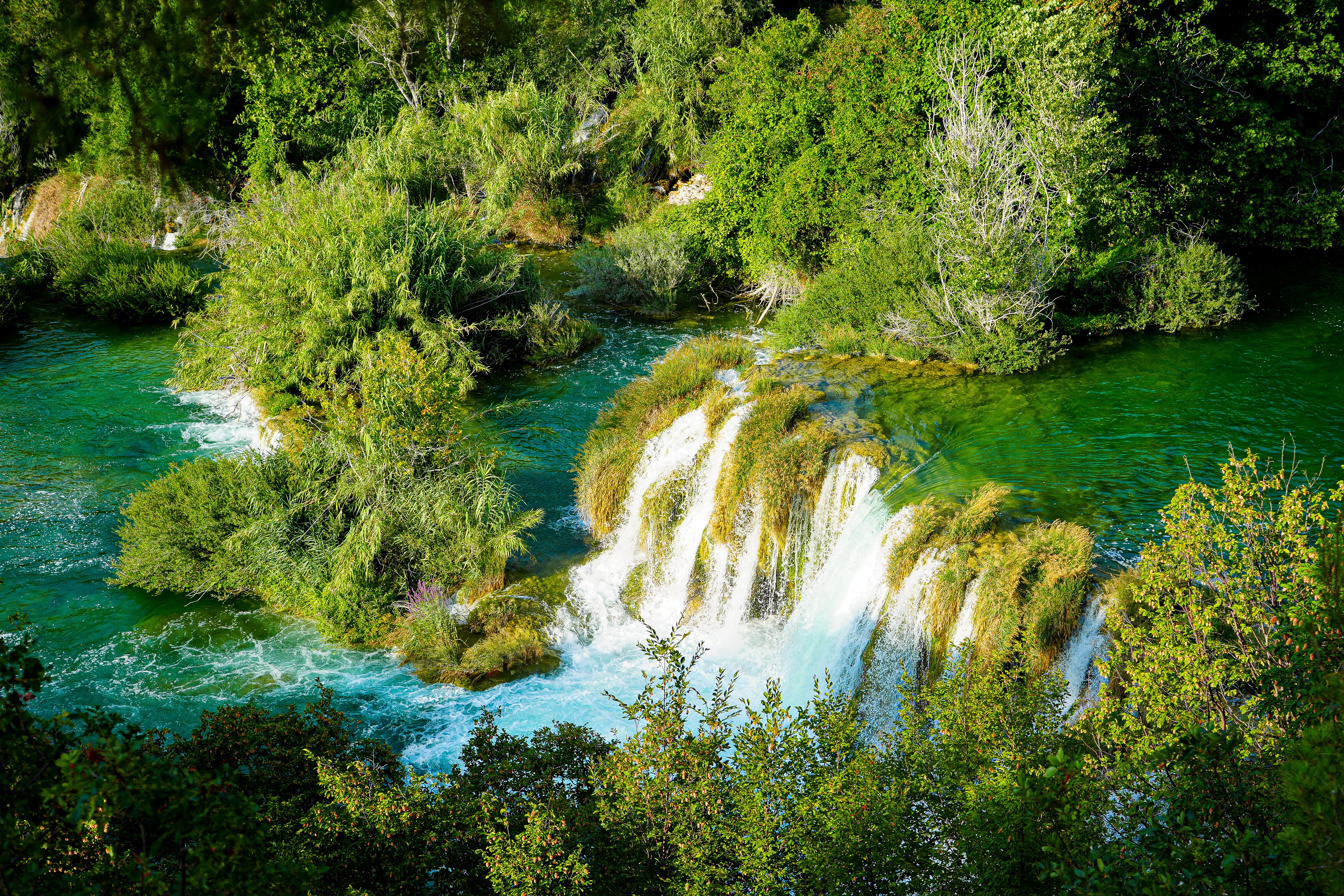 Lush Waterfall in Scenic Green Forest · Free Stock Photo
