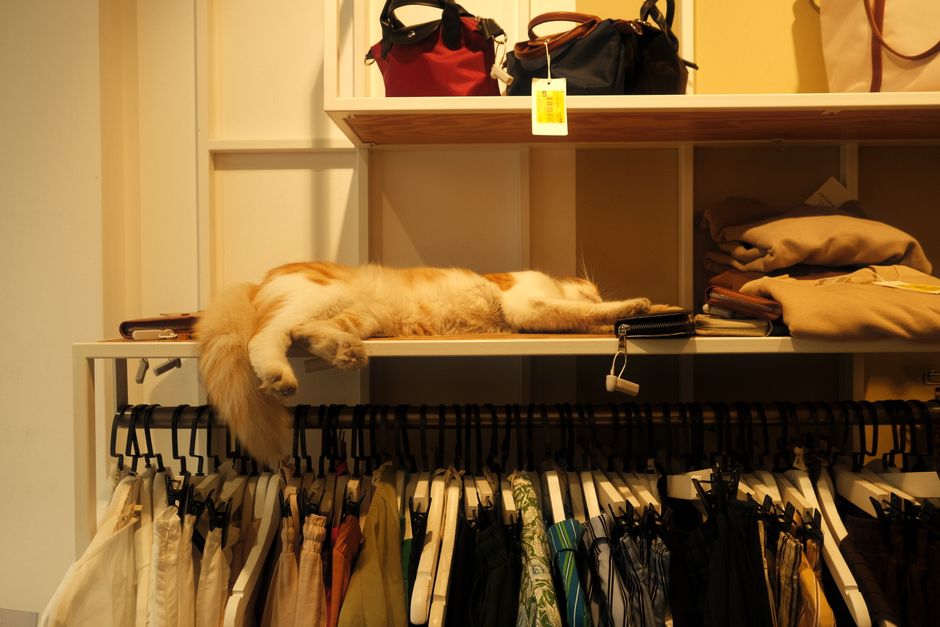 Pet shop / vet