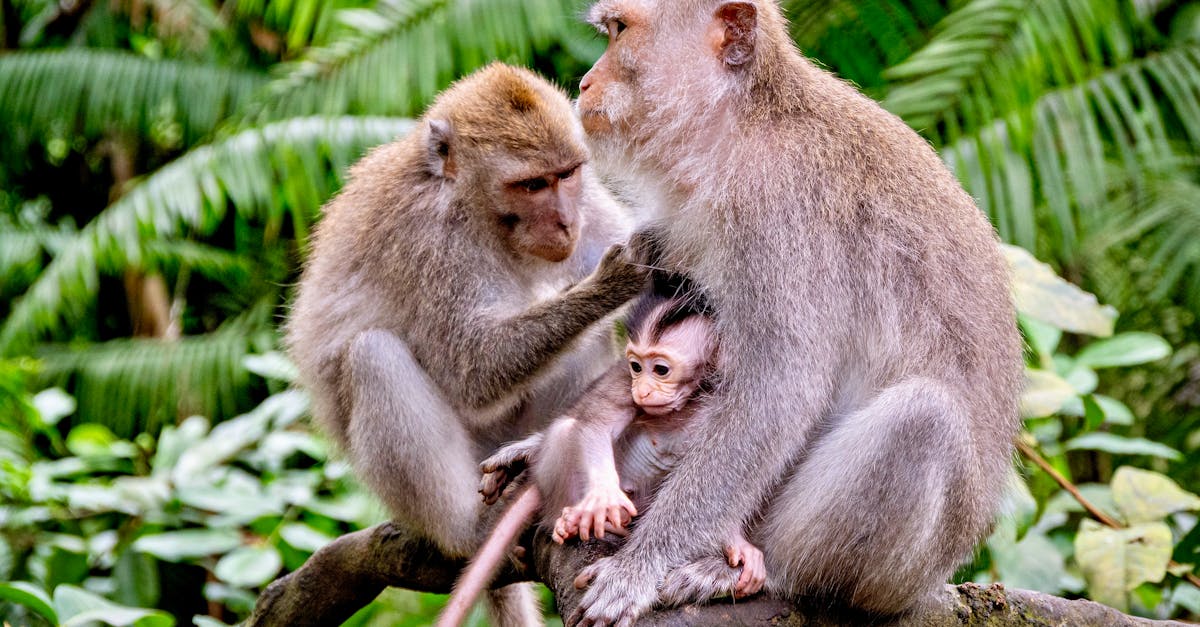 中市府響應國際母乳週 全力打造友善哺乳環境
