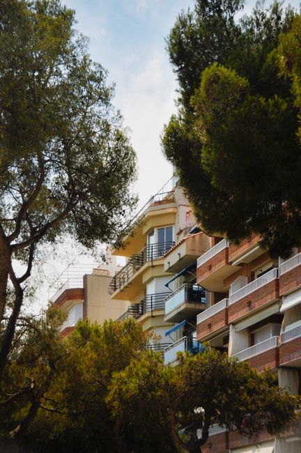 Vibrant apartment buildings in Blanes, Spain framed by lush pine trees on a sunny day.