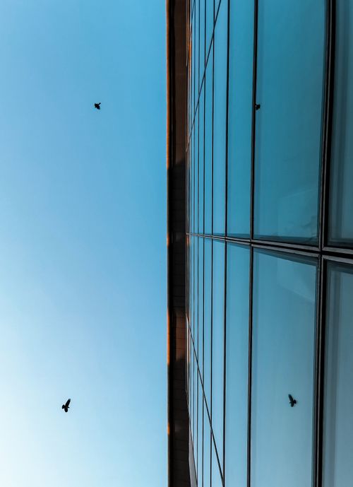 Free Glass facade with birds against a clear blue sky in Bursa, Türkiye. Stock Photo
