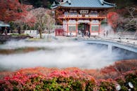 日本大阪米诺的美丽寺庙景观，被秋叶和薄雾环绕