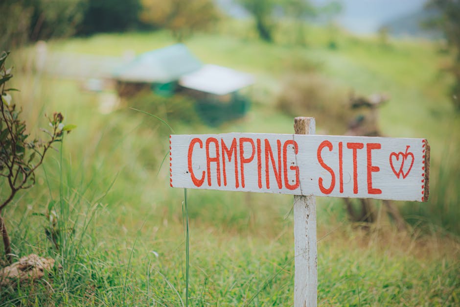 situs filmapik situs filmapik