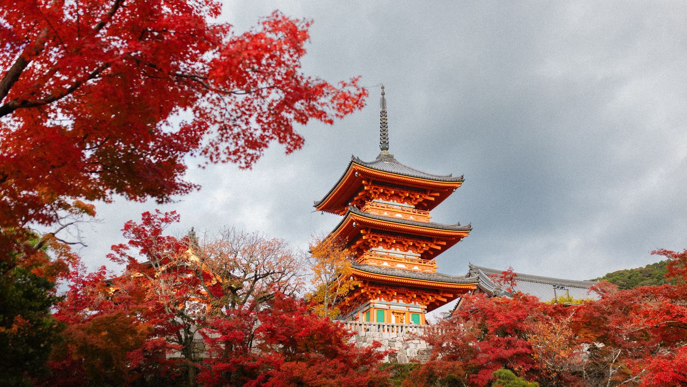 The pagoda of Kiyomizu-dera temple in Kyoto surrounded by red and orange autumn foliage.