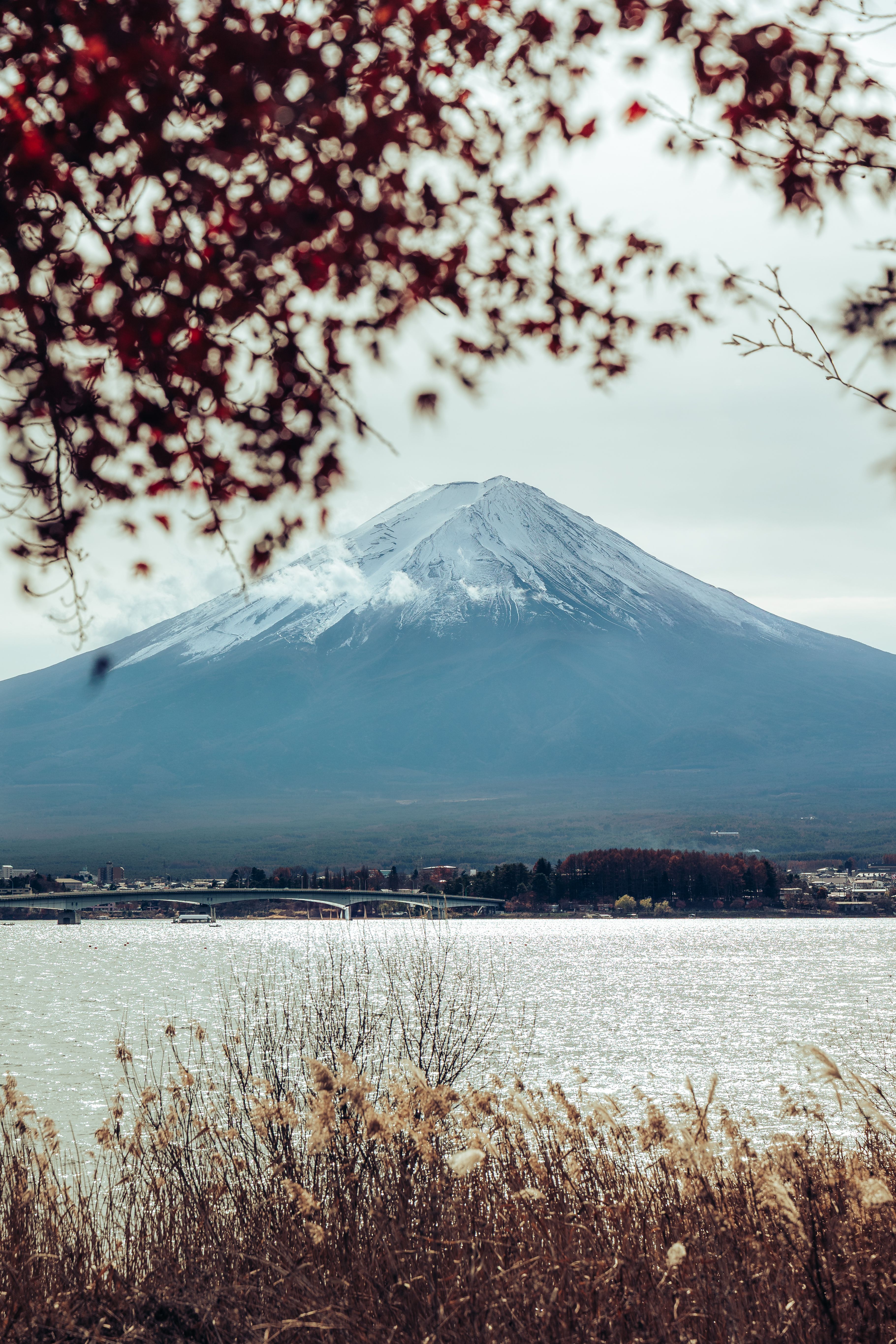 Majestic snow-capped Mount Fuji framed by autumn leaves and lake, capturing serene beauty.