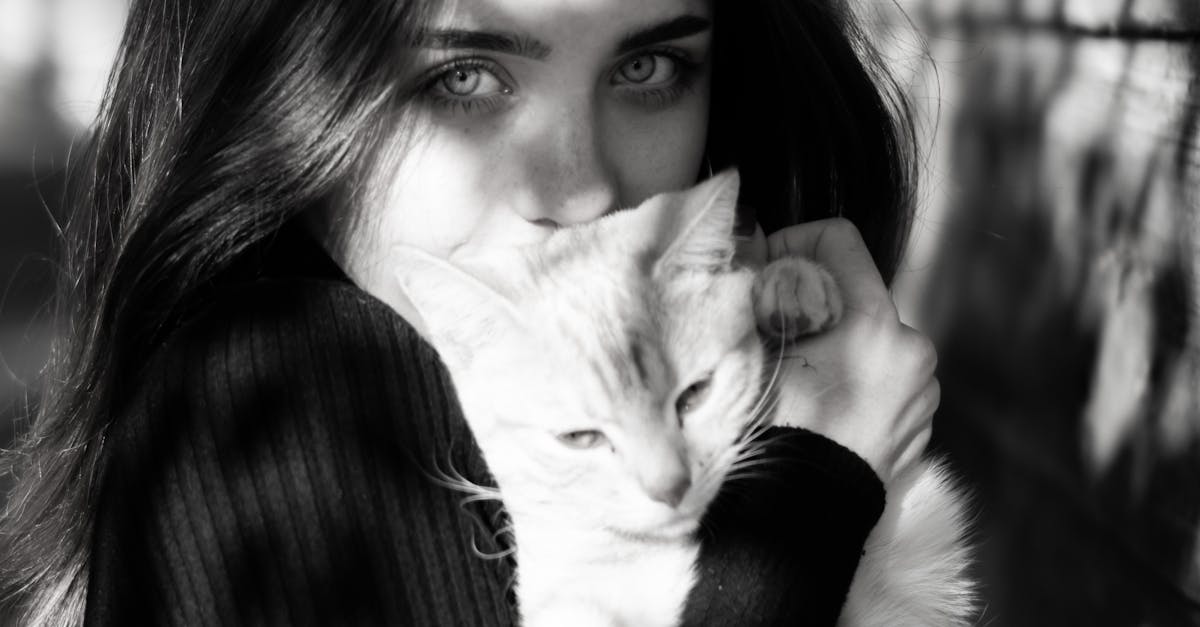 親子共學推動愛護動物 中市動保處幸福毛孩生活課程開跑