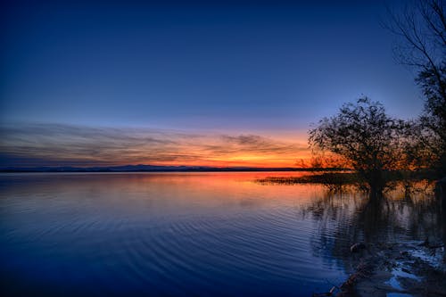 Foto Pohon Di Dekat Perairan Tenang Selama Golden Hour