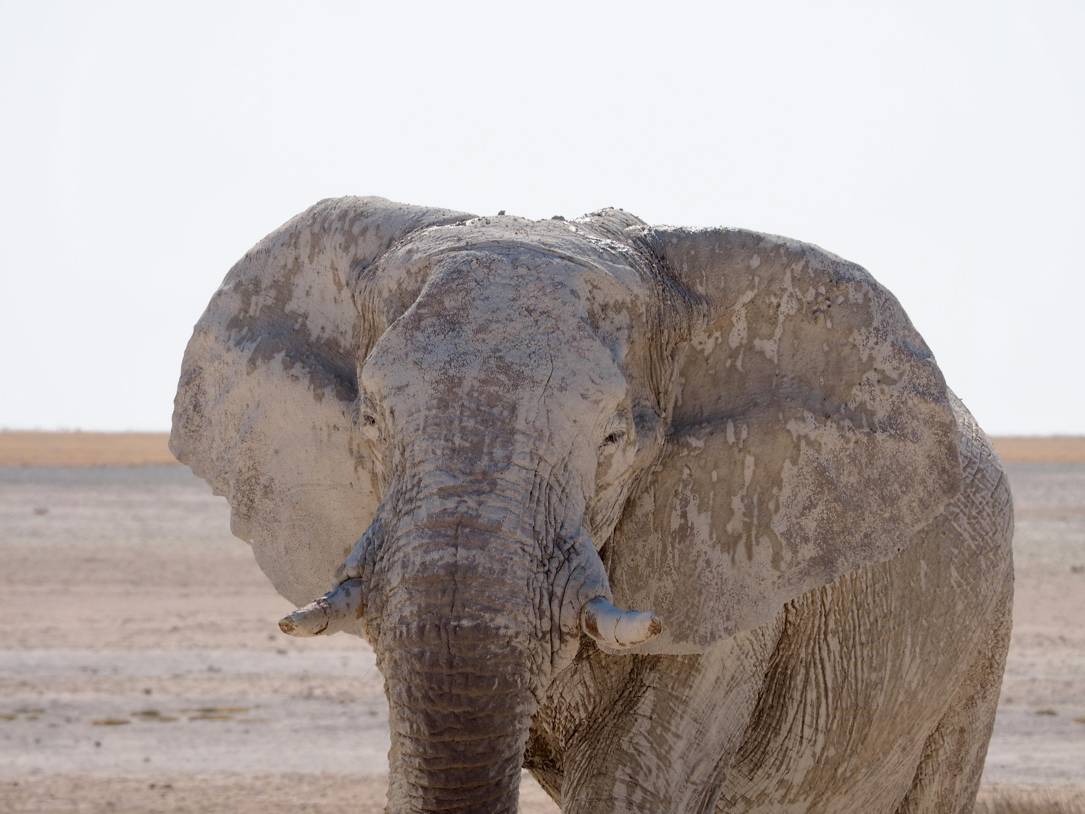 Zambezi Region, Namibia - travel photo