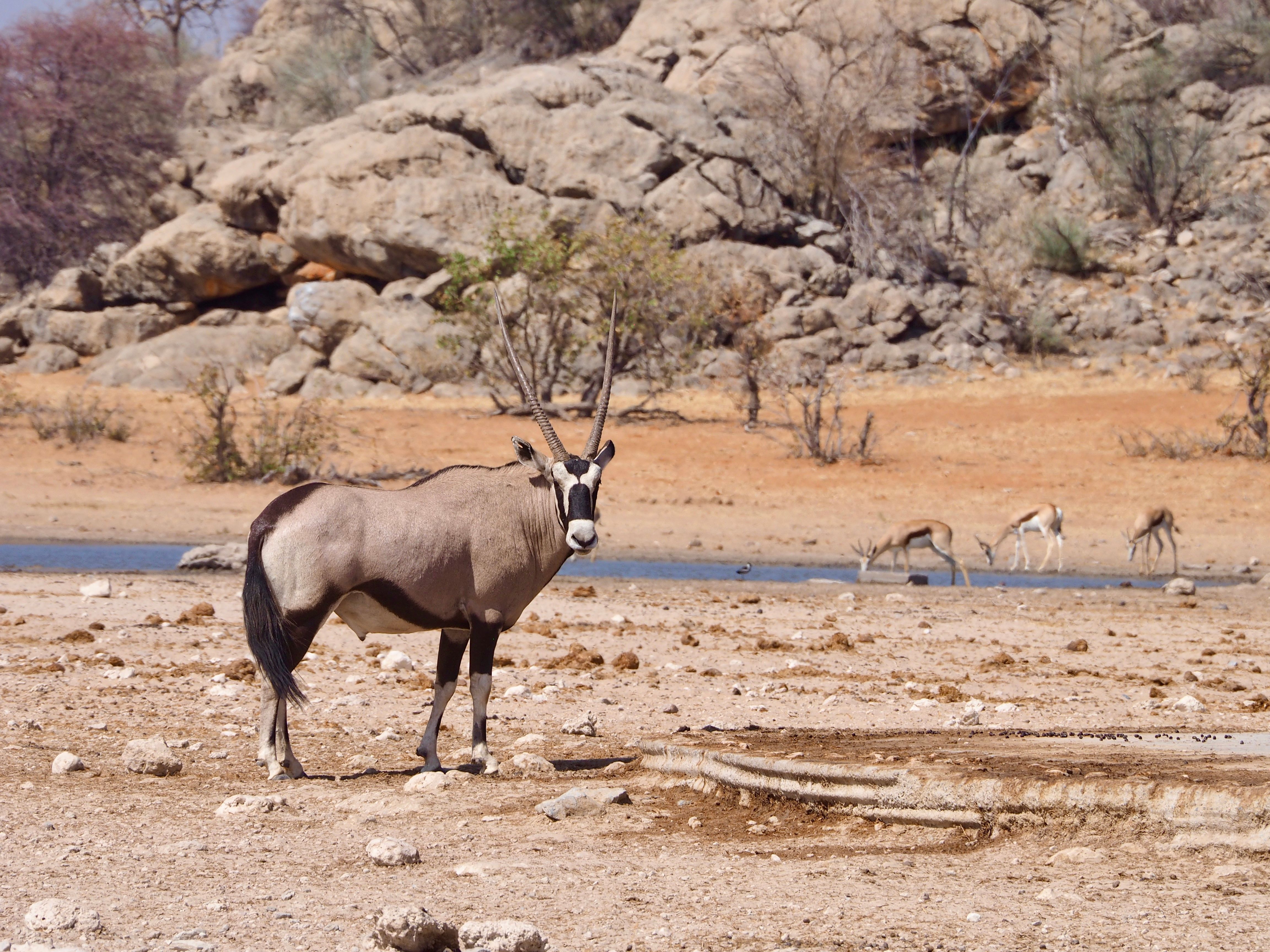 Photo of Namibia