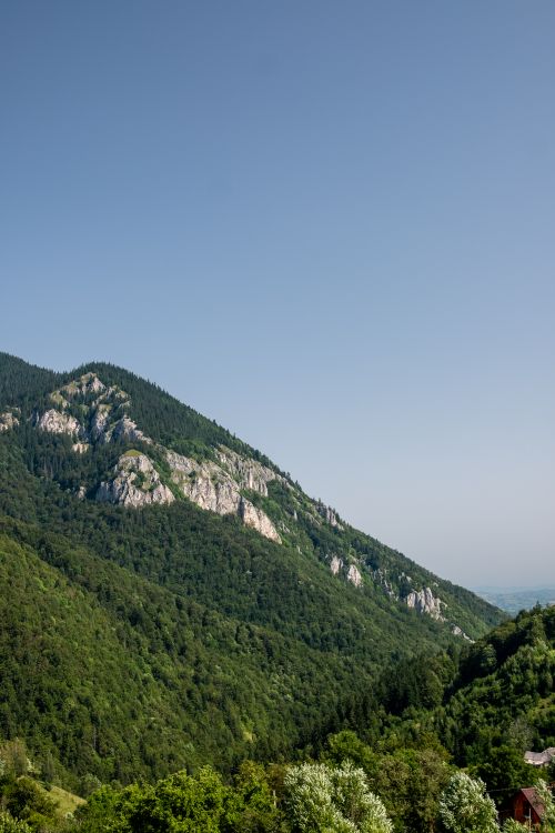 Free Breathtaking view of lush green mountains under a clear blue sky in Măgura, Brașov, Romania. Stock Photo