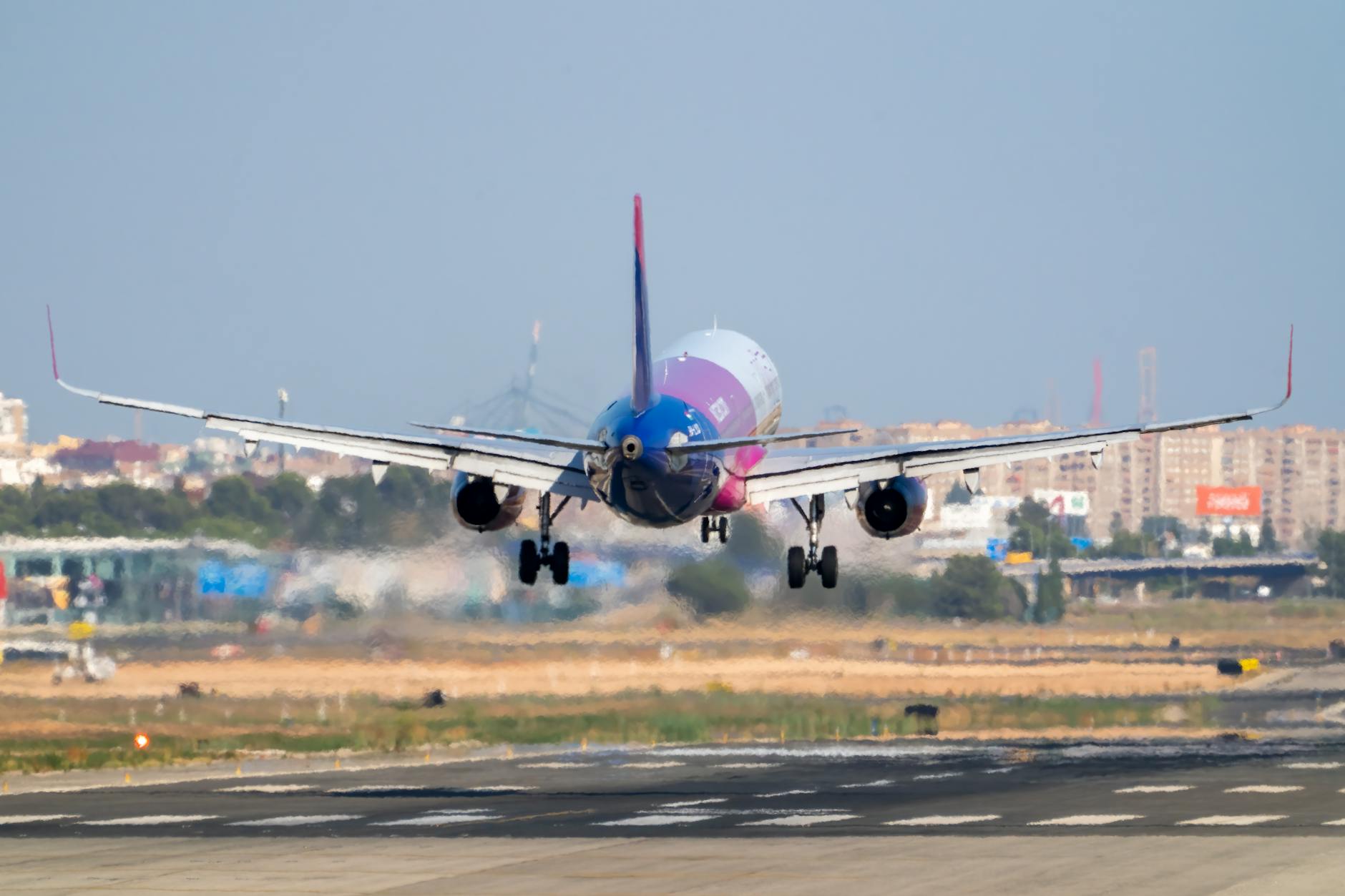 타만 사파리 인도네시아, 한국 여행객 위한 다양한 즐길 거리 제공