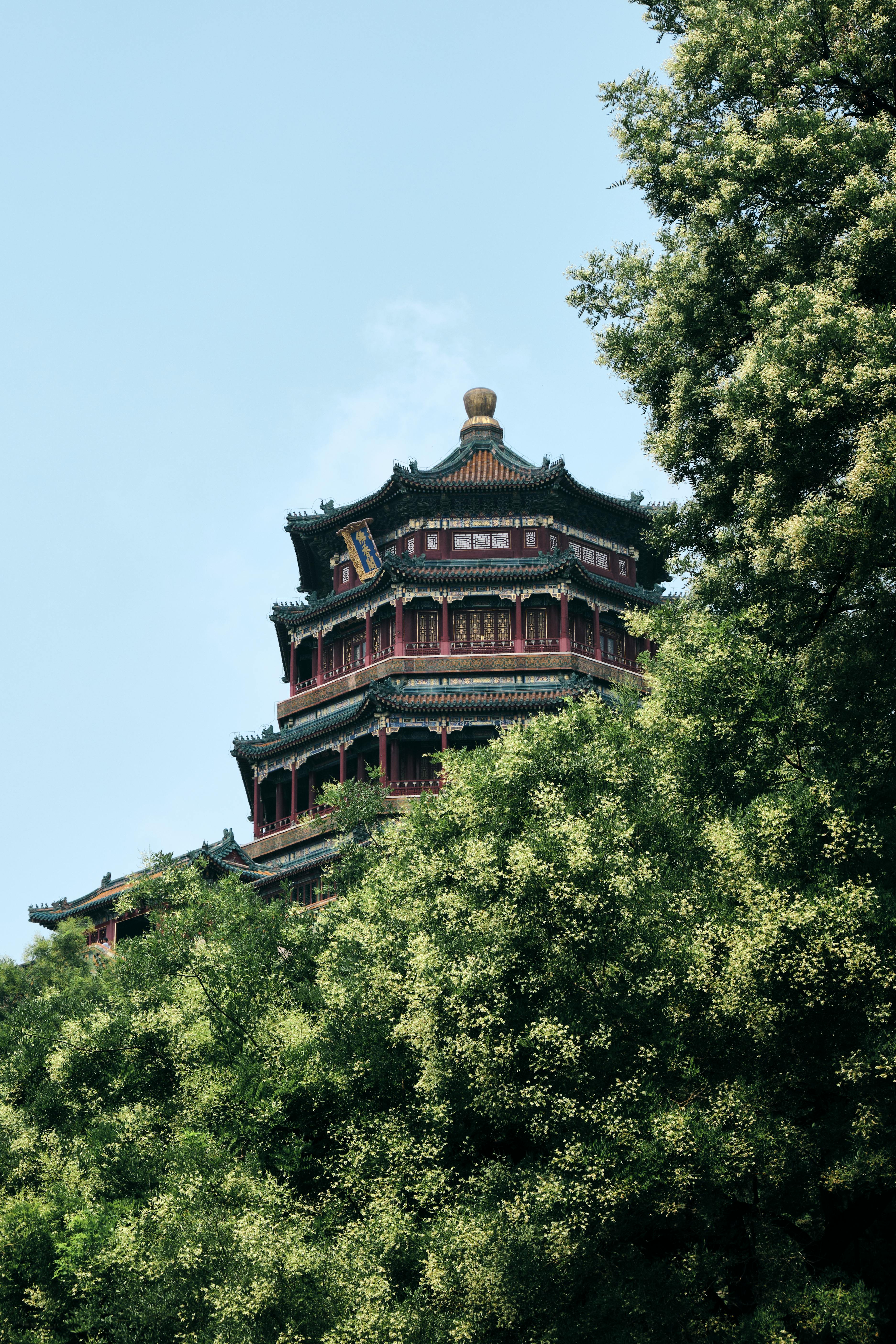 Pagoda rising above green trees, under a clear blue sky, in a serene setting.
