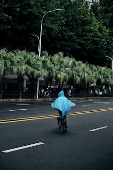 A cyclist wearing a blue poncho rides through a wet urban street lined with palm trees.