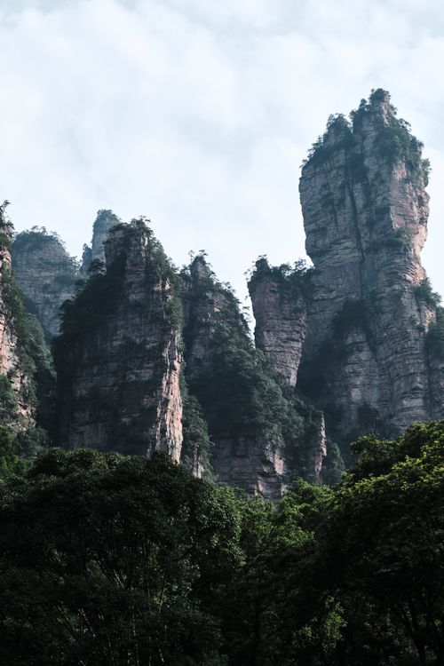 Free Capture of towering Zhangjiajie rock formations amidst lush greenery and mist. Stock Photo