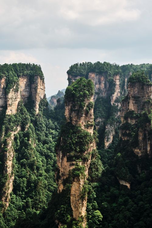 Free Scenic view of Zhangjiajie's iconic sandstone peaks, China, enveloped in lush greenery. Stock Photo