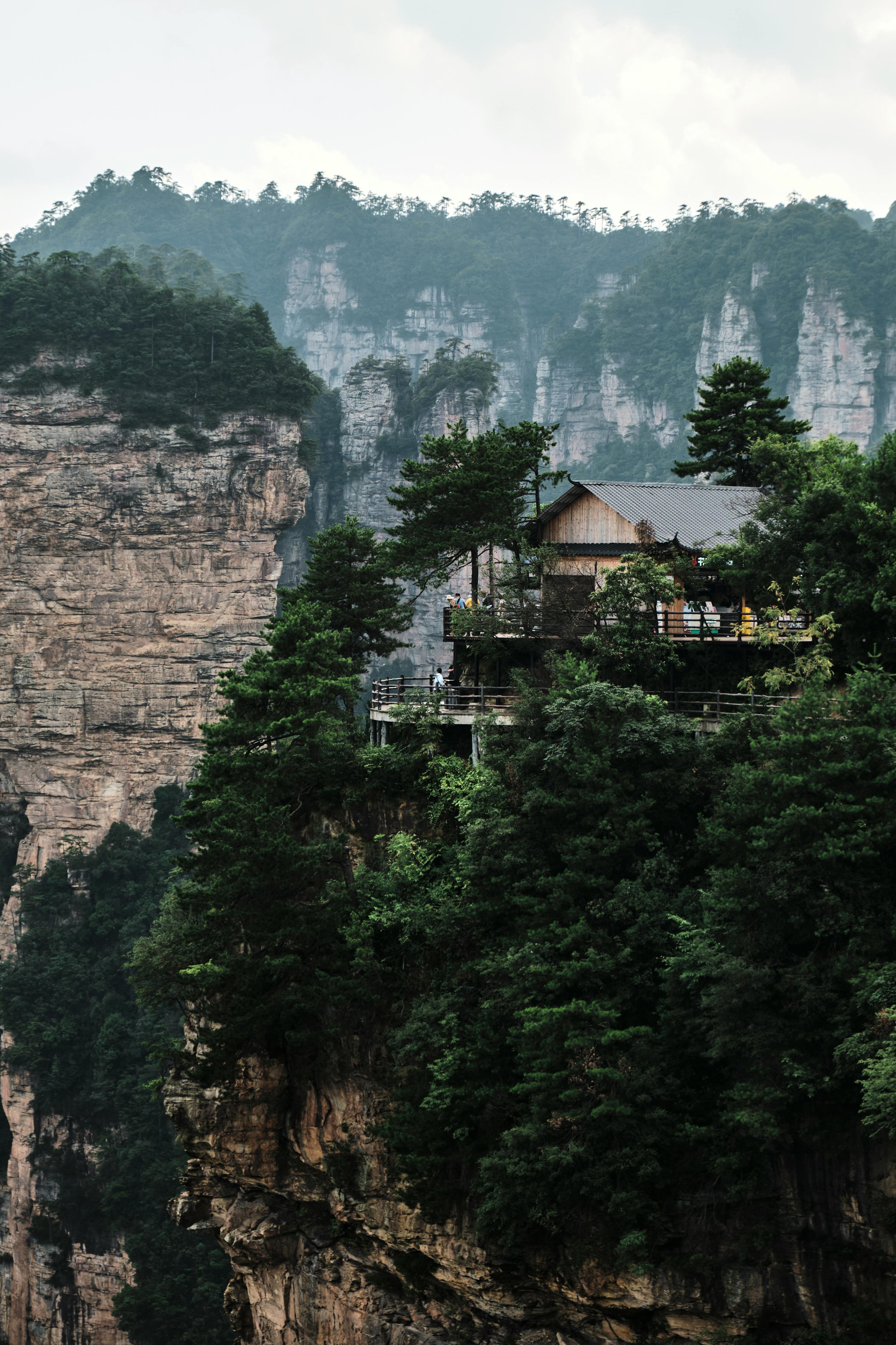 Discover China’s Secret Forest Retreat: An Unforgettable Nature Escape