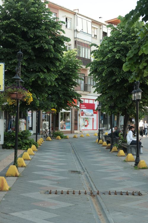 Free Peaceful city street lined with trees and benches, ideal for relaxation. Stock Photo