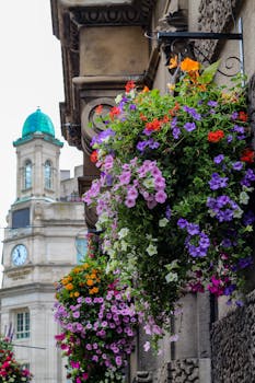 Colorful flower baskets adorn a street in Dublin, showcasing urban floral beauty.