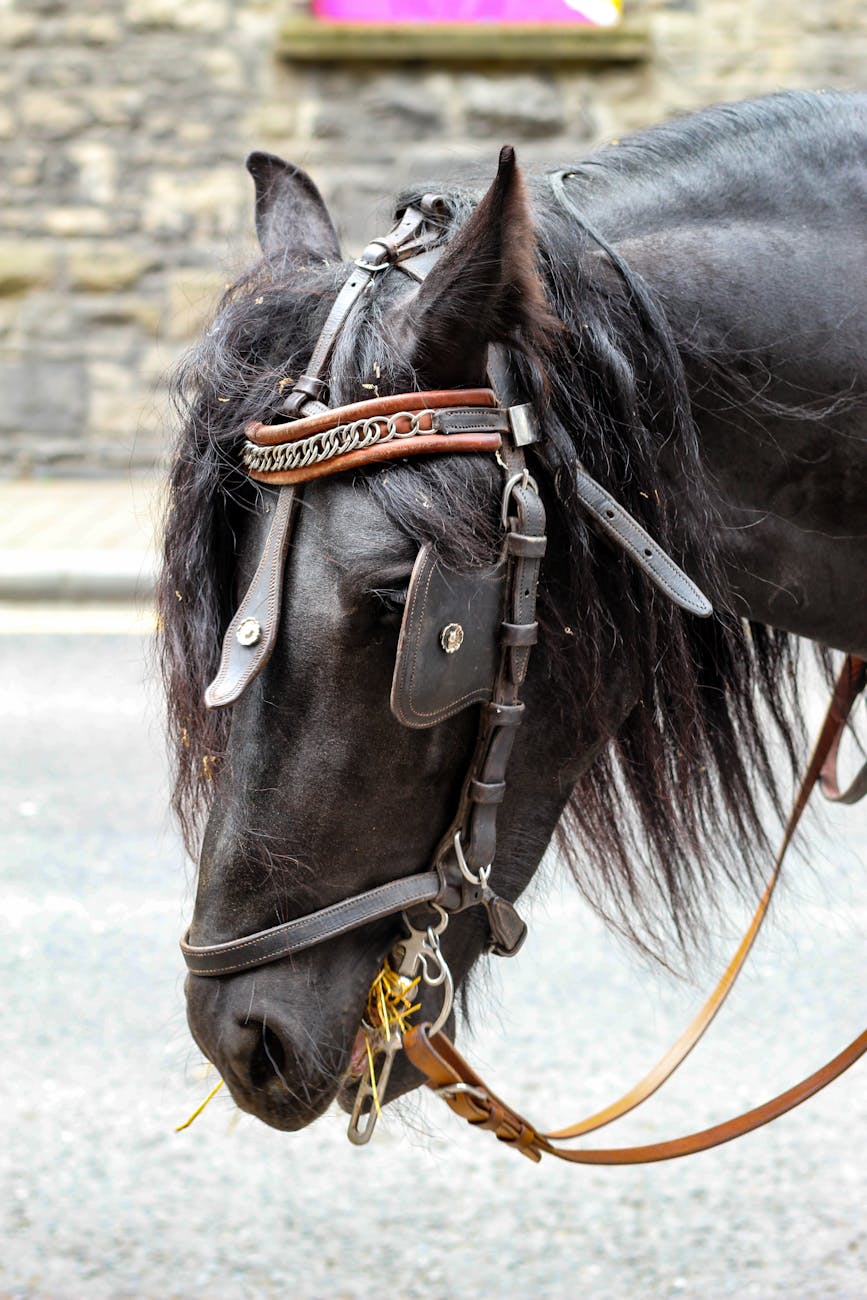 Bogdan Lovin, ambasador oficial al gastronomiei din Timiș și Banat