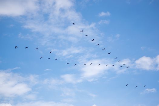 cloud migration checklist