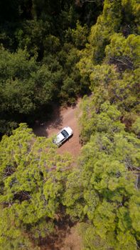 Aerial shot of a white car navigating a winding forest trail surrounded by lush trees.