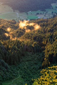 A breathtaking view of the sun setting over the lush forests of Monte Grappa in Veneto, Italy.