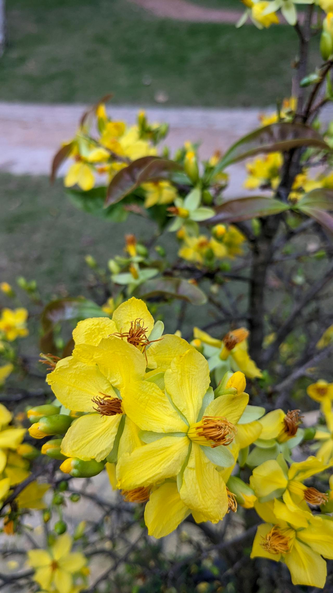 4 bài học cuộc sống từ Đạo giáo