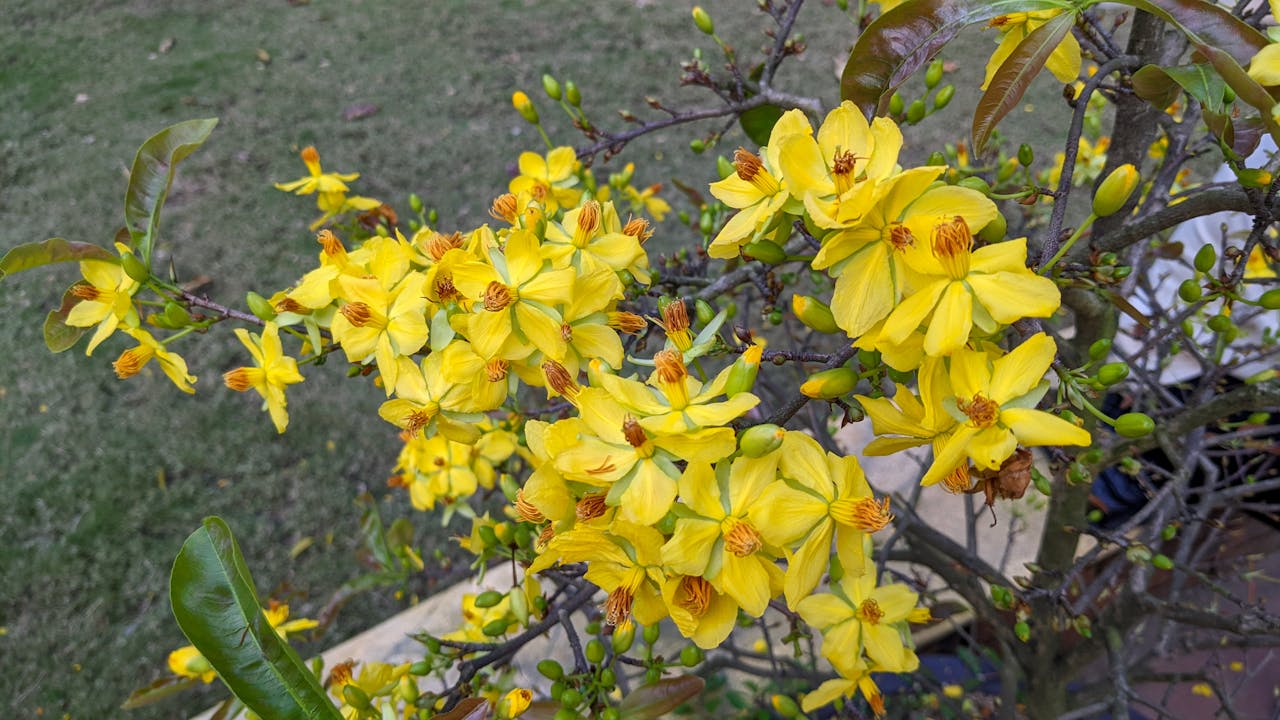 Hướng dẫn viết báo cáo cơ bản