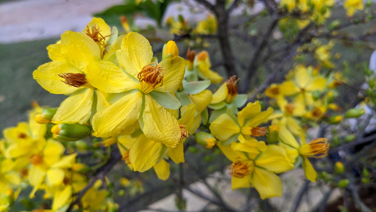 Thám tử lừng danh Conan | Chương 1134