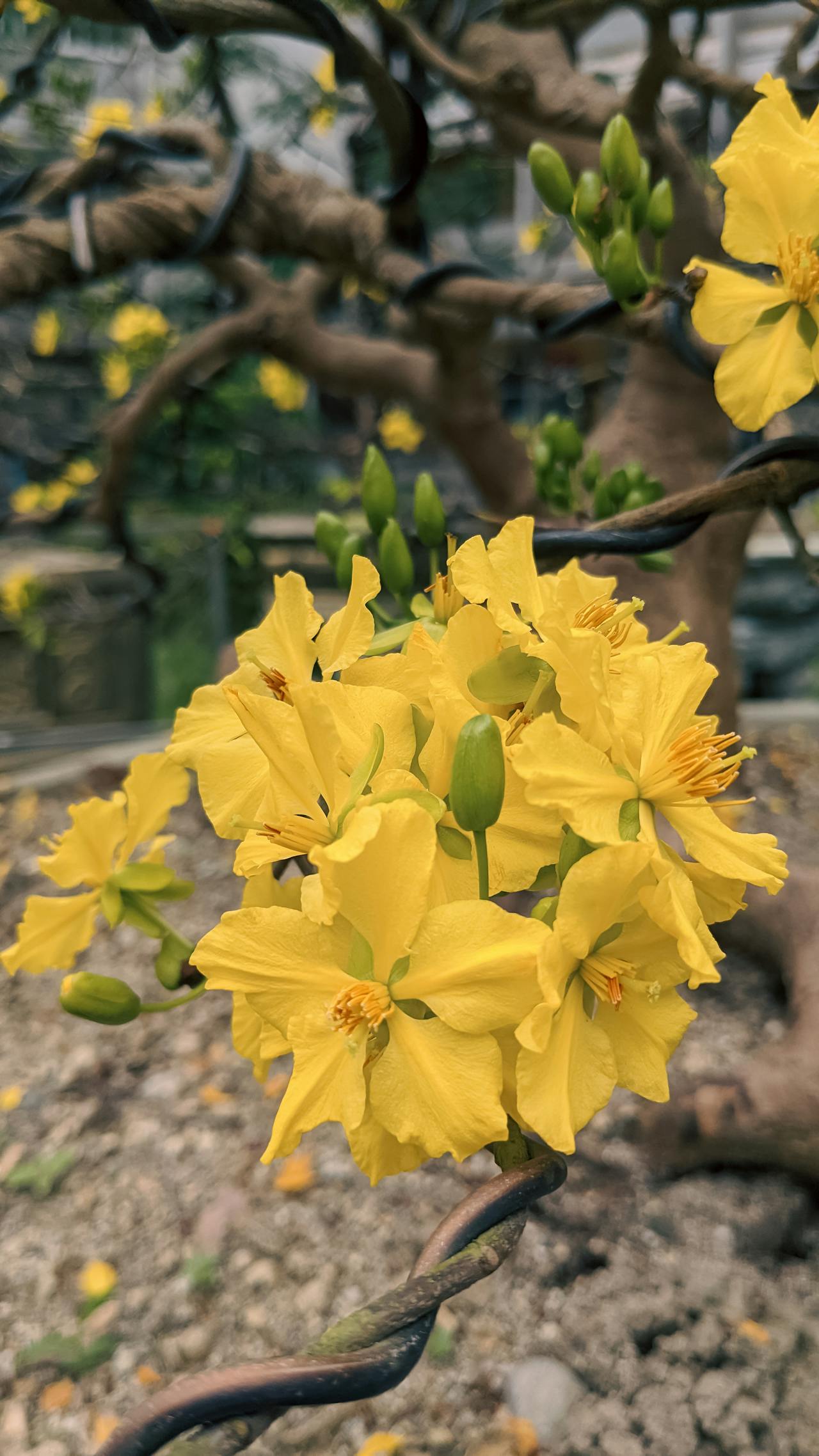 Viết đoạn văn giới thiệu về bản thân