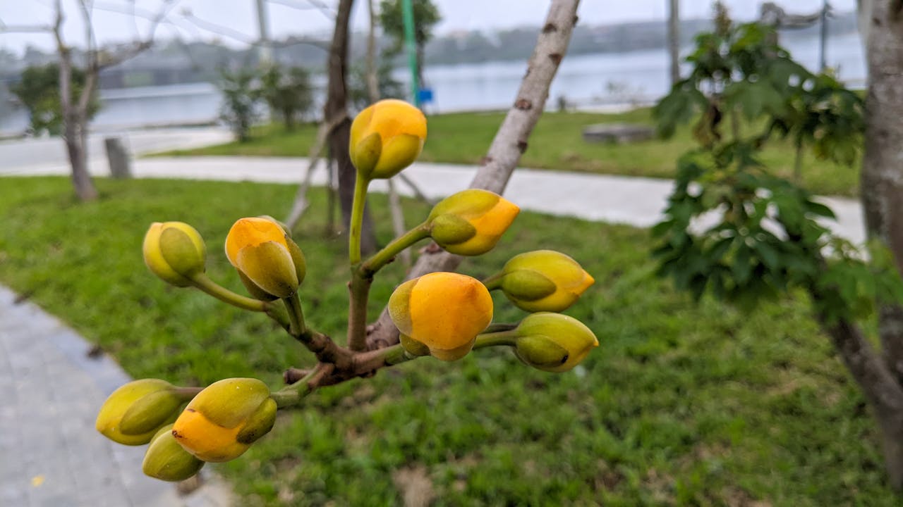 Diễn từ Nobel Văn học 2006 – Về việc không giành được giải Nobel, Doris Lessing