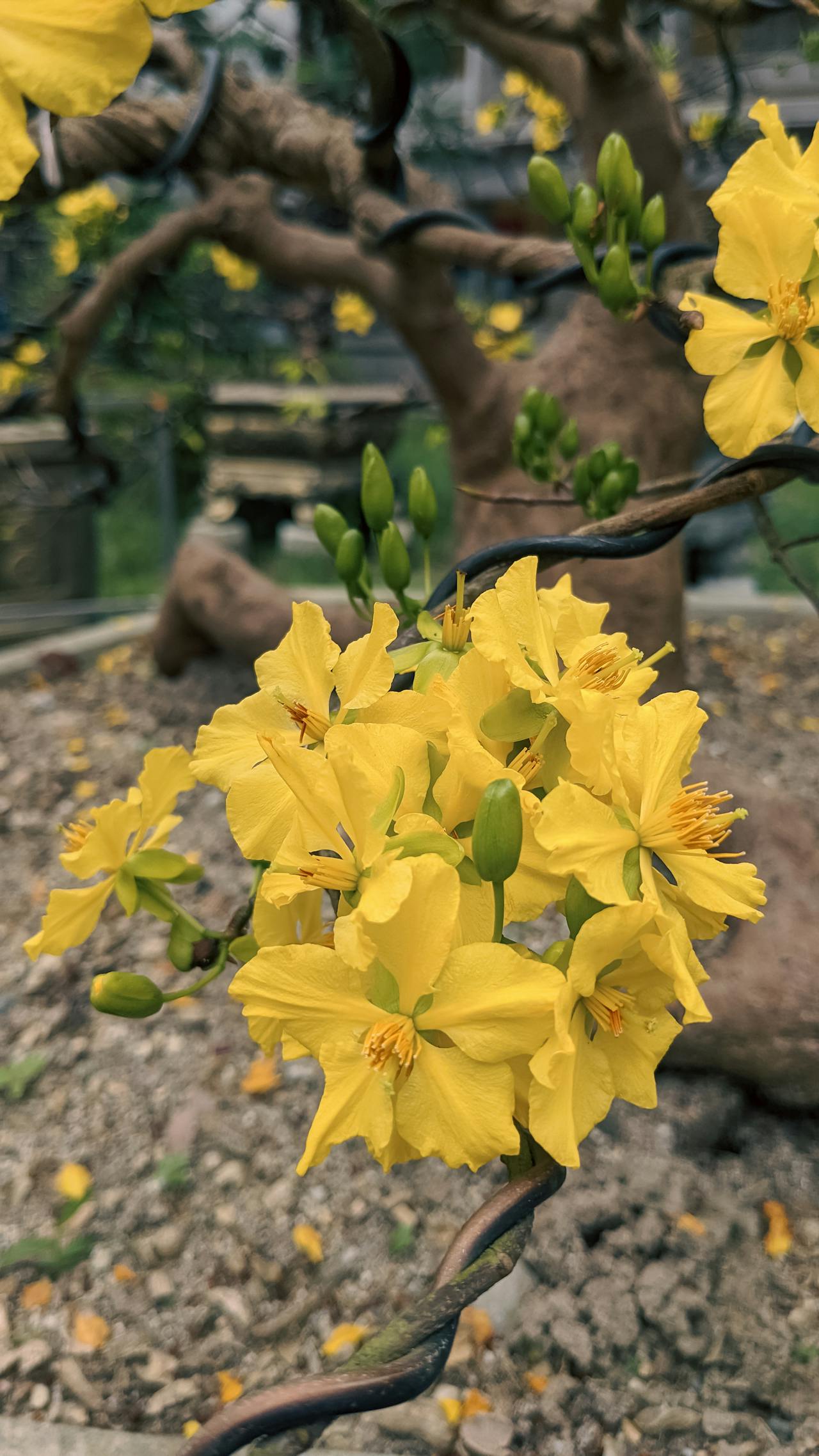 Sự sống trên Trái Đất đang hài hòa hay hủy diệt?