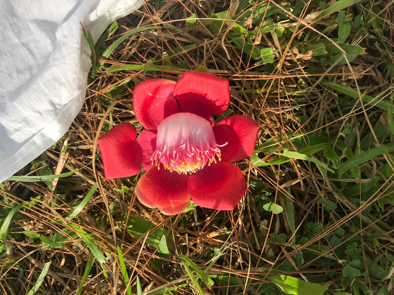 Phép lạ của sự thức tỉnh | Chương 06