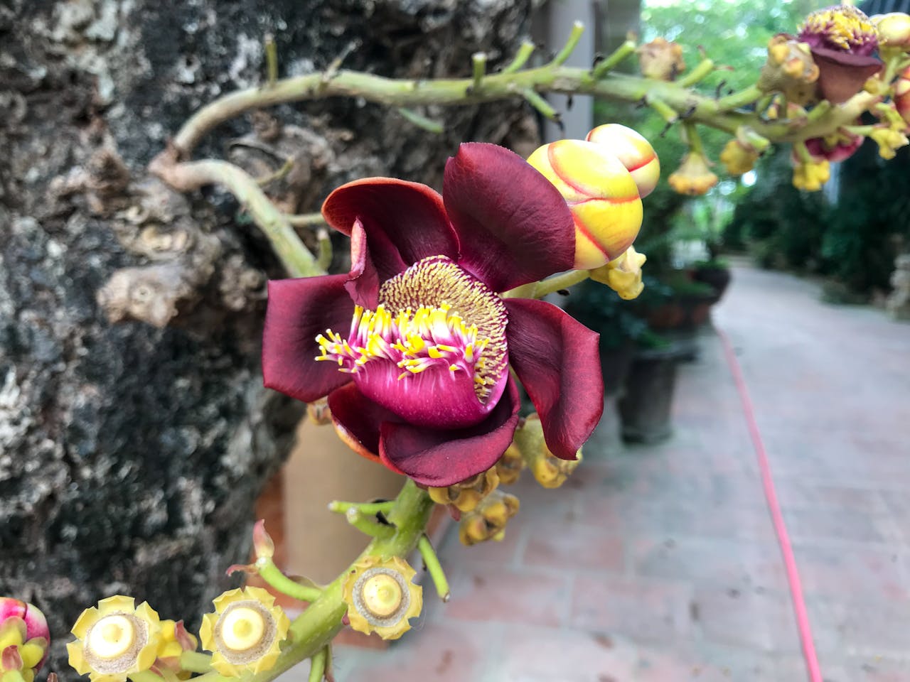 Thần điêu hiệp lữ | Chương 09