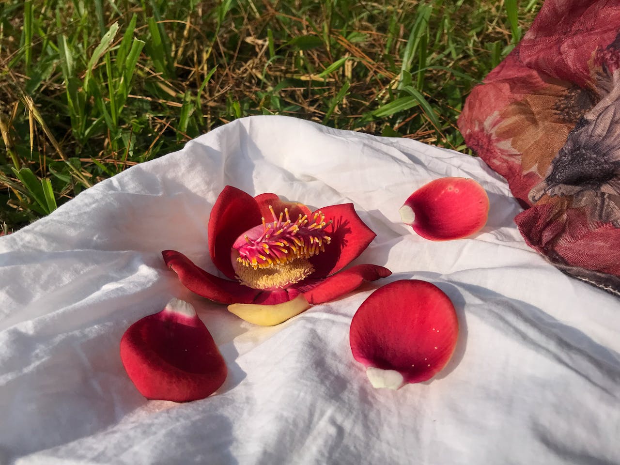 Thám tử lừng danh Conan | Chương 0755