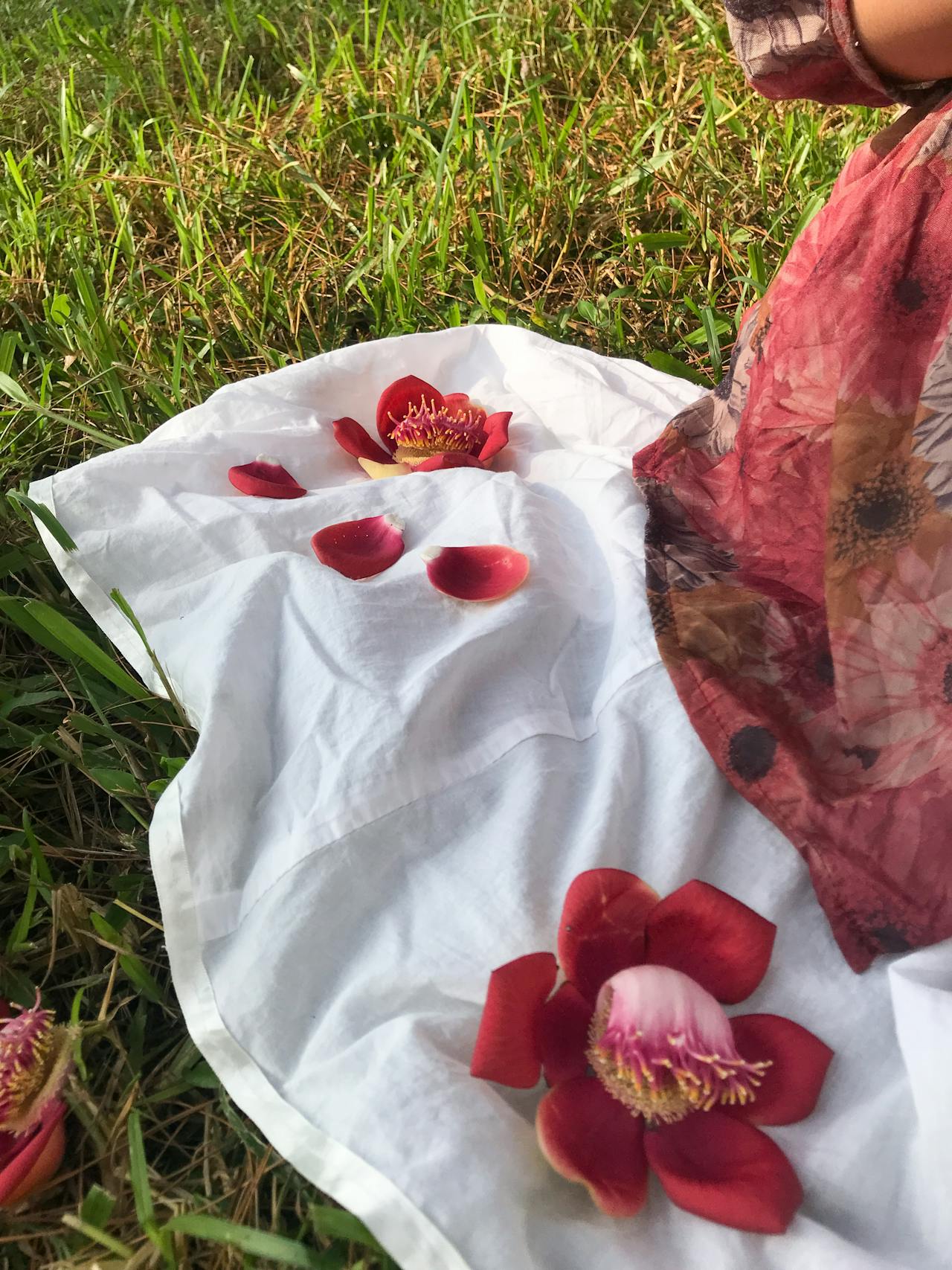 Quyền lực đích thực | Chương 06