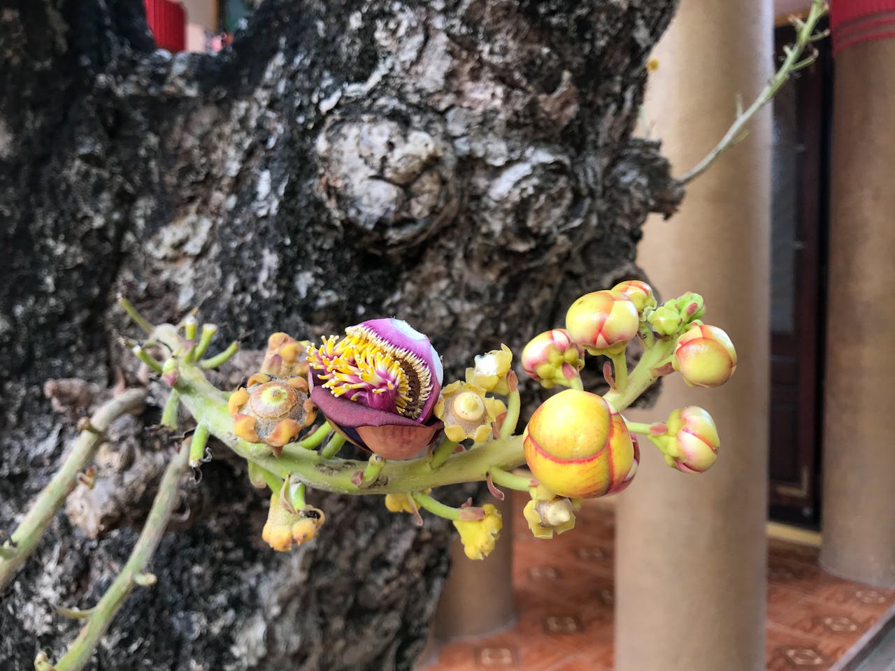 Trồng một nụ cười | Chương 08