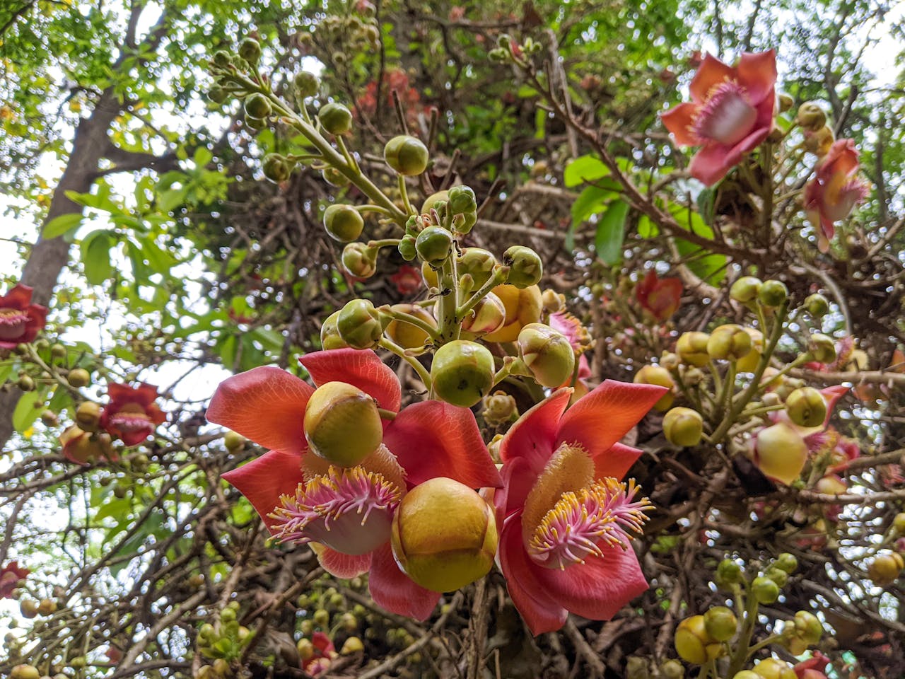 Thám tử lừng danh Conan | Chương 0318