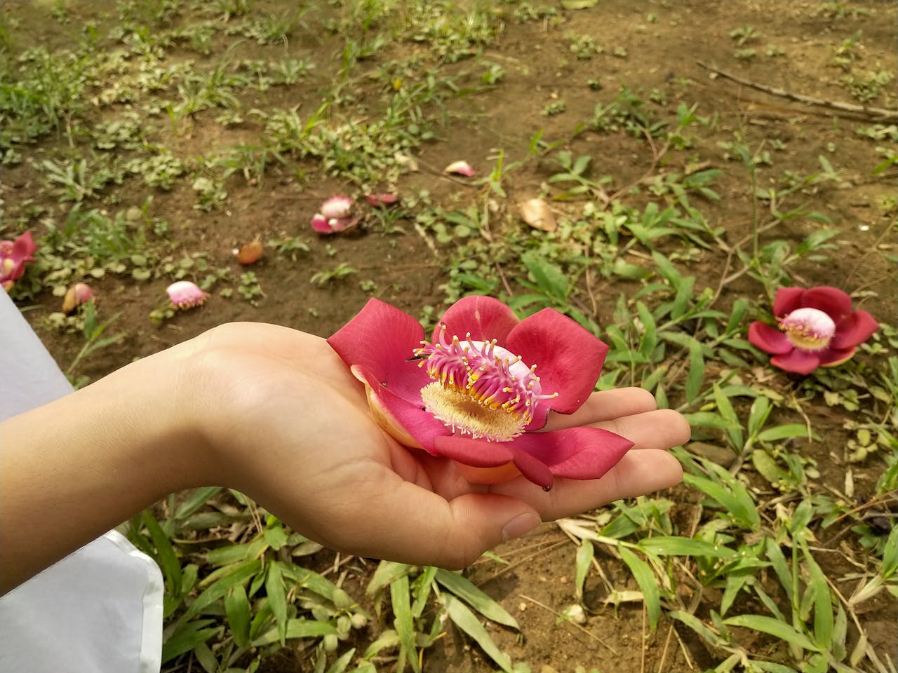 Sợ hãi | Chương 03