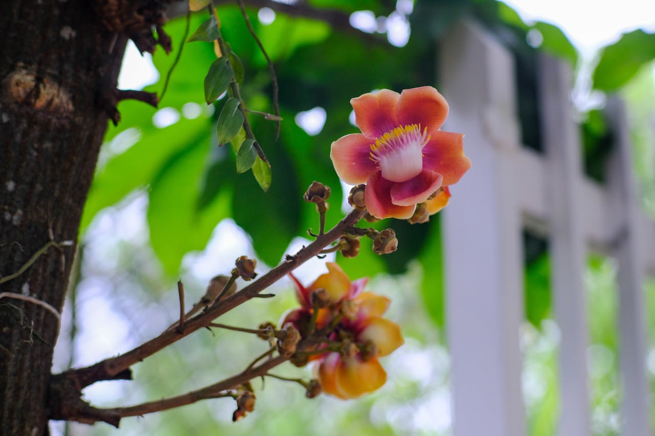 Rừng thiêng, nhà sàn thành điểm checkin linh thiêng