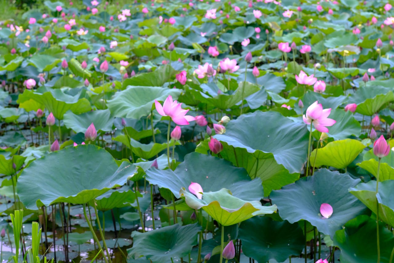 Nếu trò chơi chiến tranh có thể là một thứ khác?