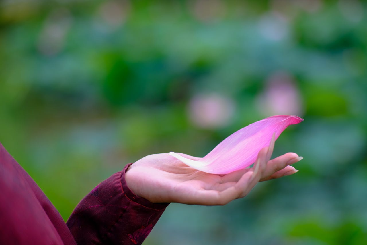 Hiểu về trái tim | Chương 04