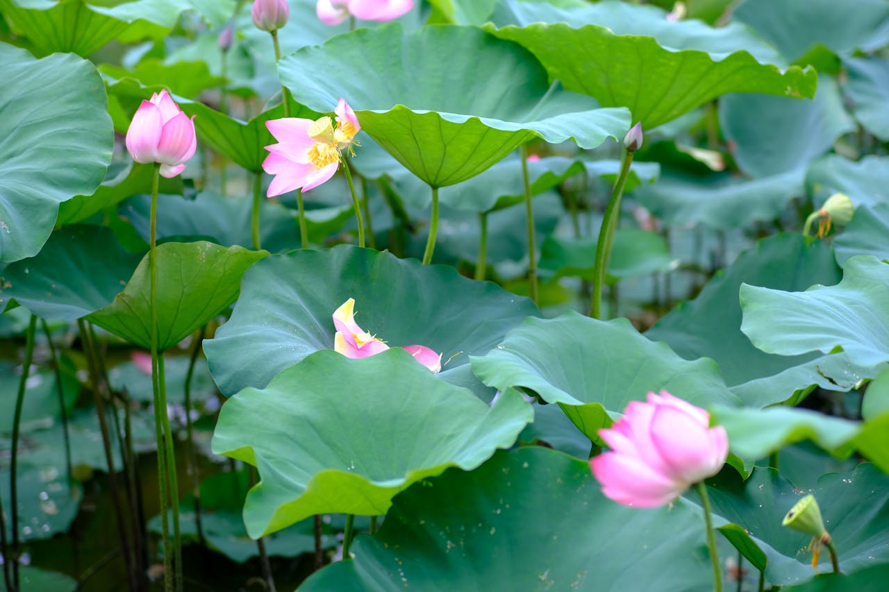 Xây dựng cốt truyện hấp dẫn và mạch lạc