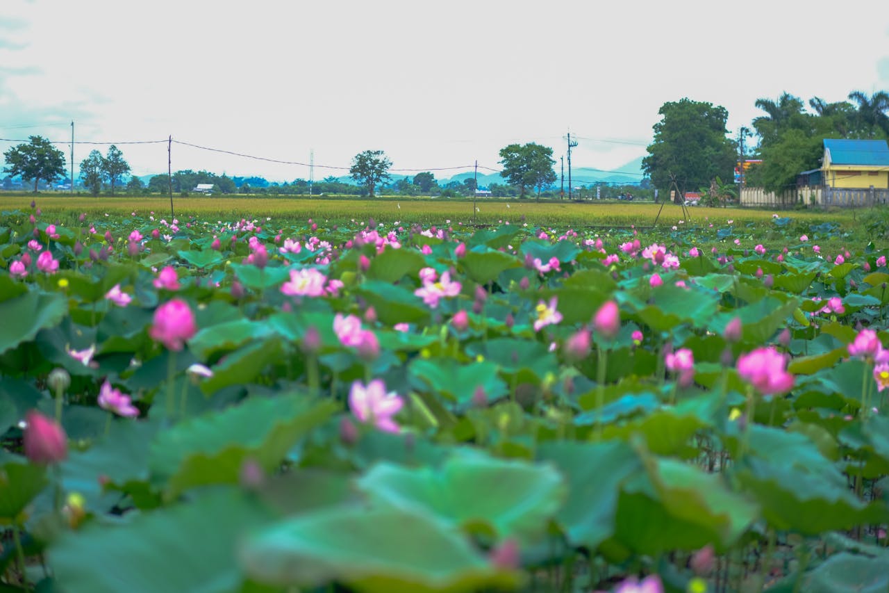 Thám tử lừng danh Conan | Chương 0446